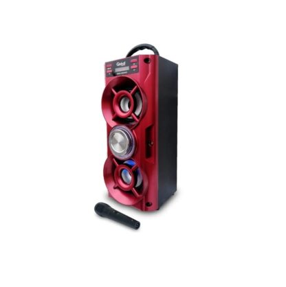 Parlante Karaoke Bluetooth Usb + Luz + Sd + Microfono, Global Electronics